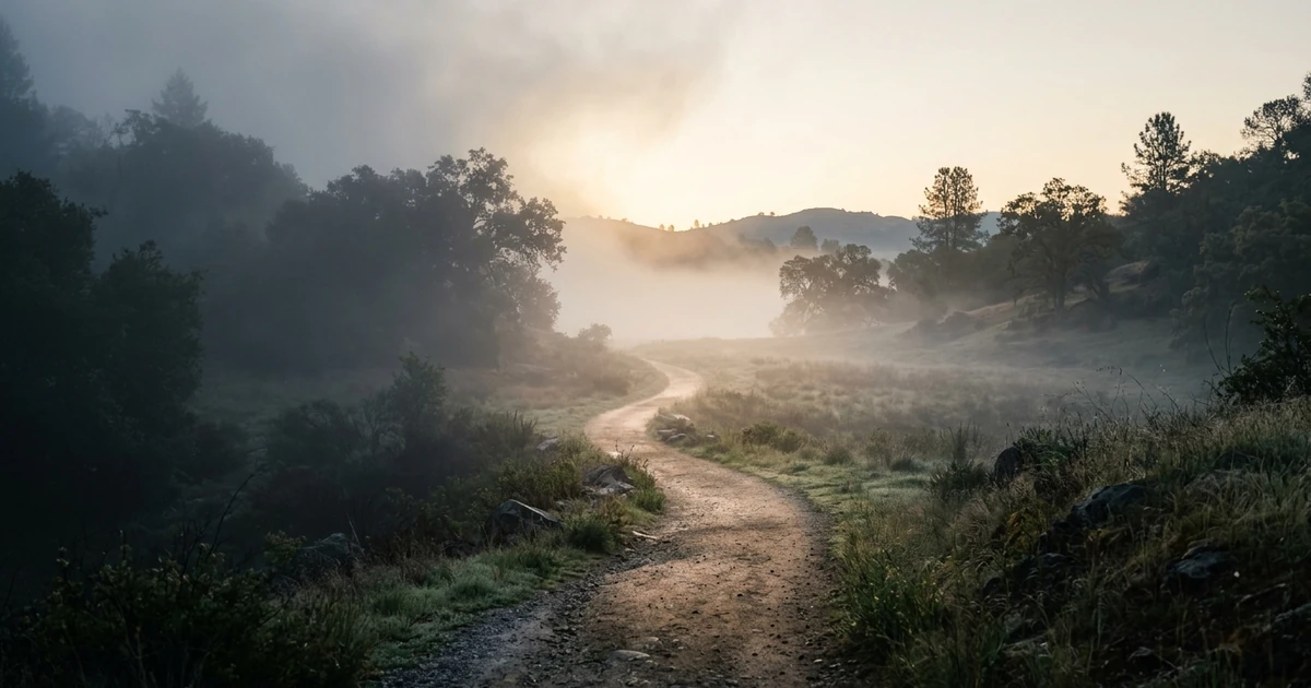A single lit path emerging through dissolving morning fog at dawn, representing clarity returning when divided allegiance ends